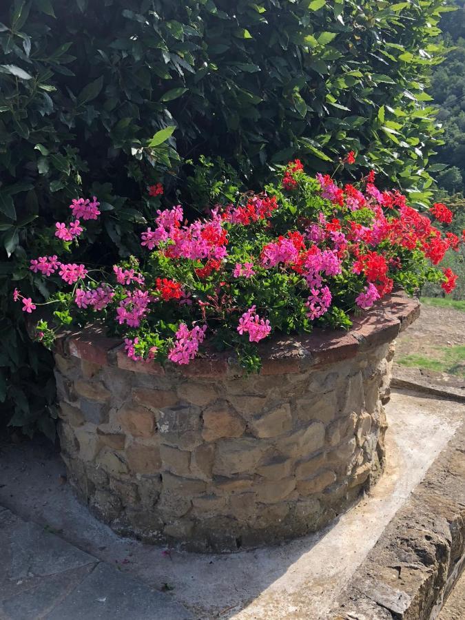 Agriturismo La Casella Castelfranco di Sopra Exterior foto