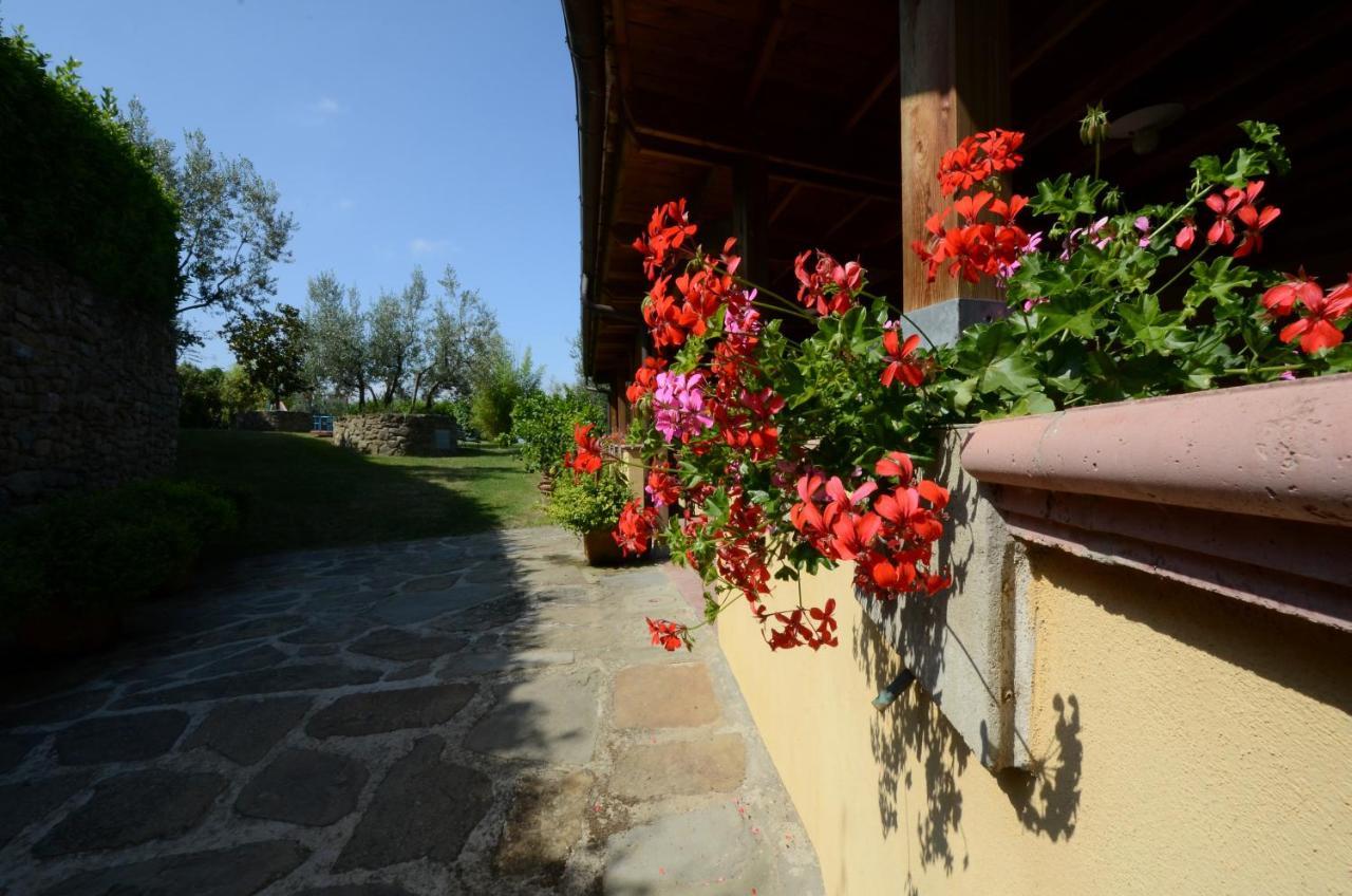 Agriturismo La Casella Castelfranco di Sopra Exterior foto